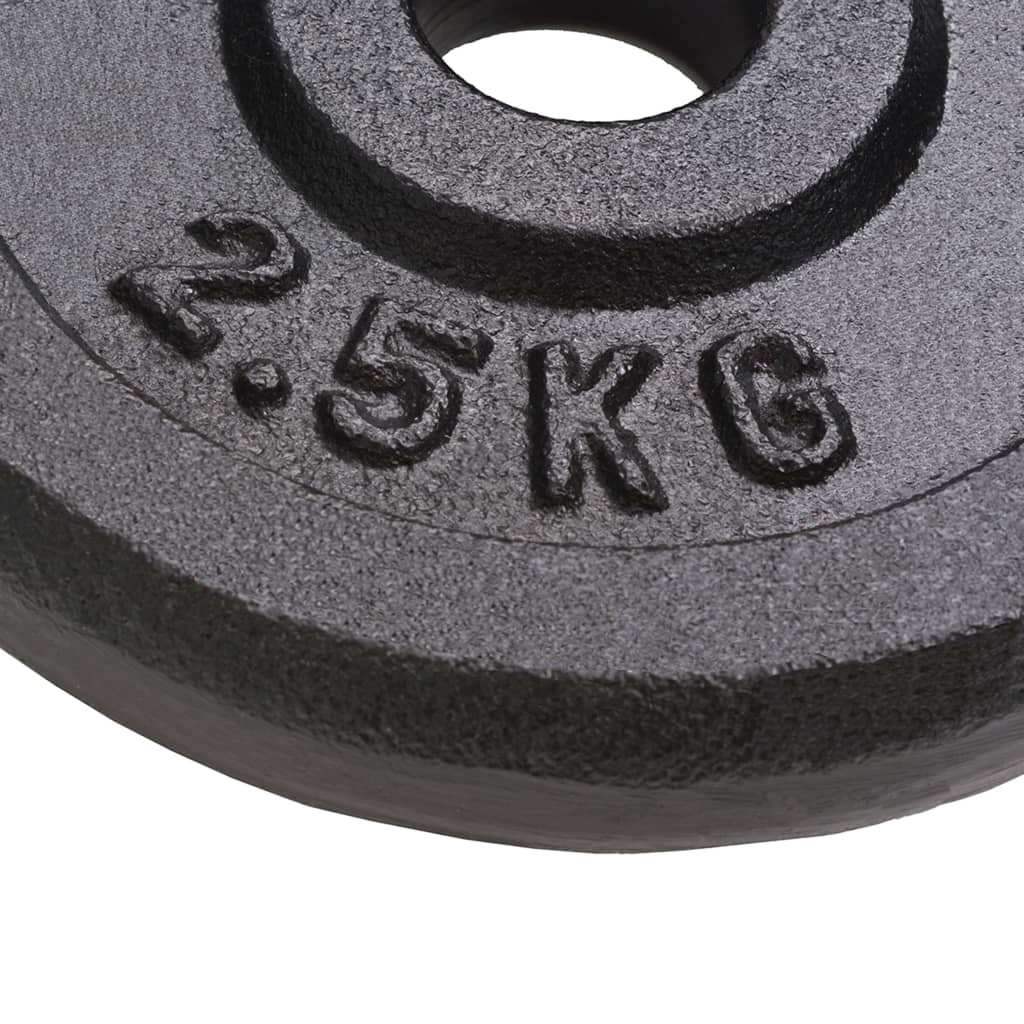 Close-up of a 2.5 kg cast iron weight plate with clear weight stamping, ideal for home and gym workouts.