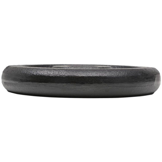 Cast iron weight plate, 2.5 kg, durable with scratch-resistant finish, ideal for home and gym workouts.