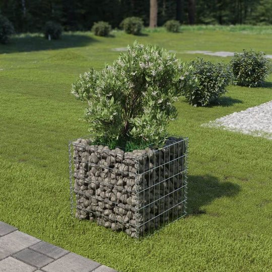 Gabion raised bed made of galvanised steel filled with rocks, featuring a lush plant, set in a green garden environment.