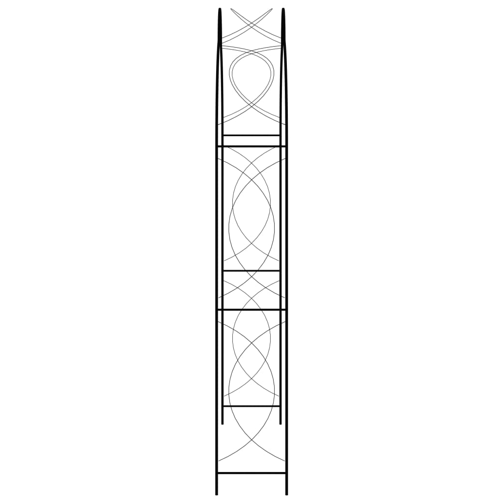 Garden Arch  150x34x240 cm Iron