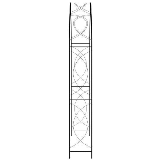 Garden Arch  150x34x240 cm Iron