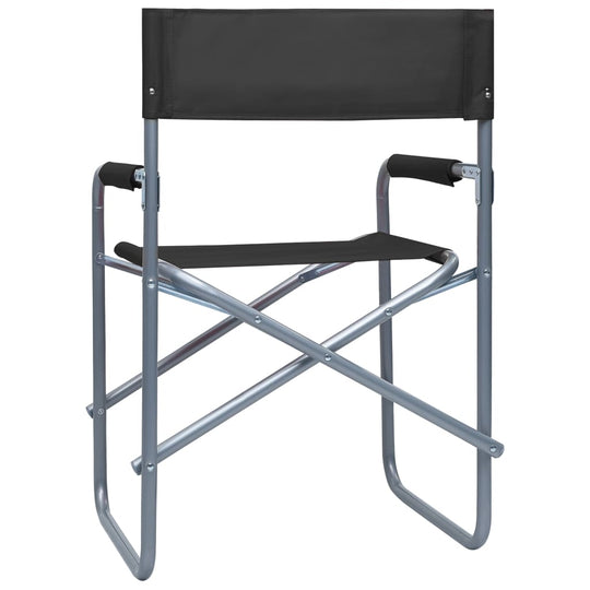 Director's Chairs 2 pcs Steel