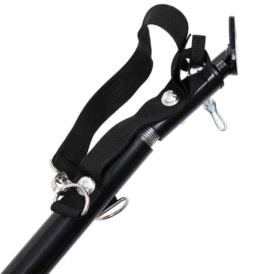 2-in-1 Pet Bike Trailer & Jogging Stroller and Black adjustable strap and attachment detail for stability.