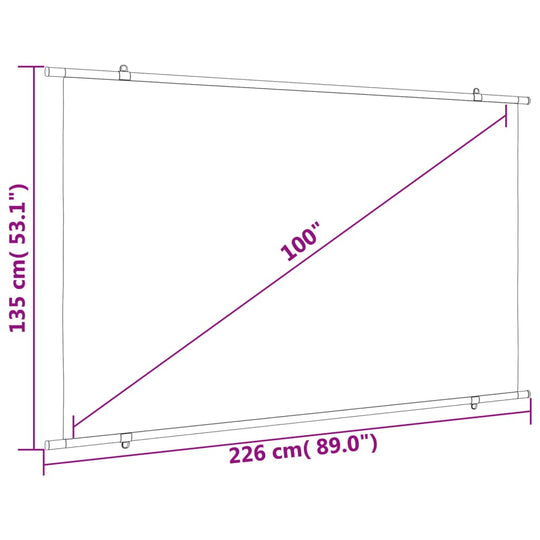 100-inch projection screen dimensions showing 226 cm width and 135 cm height for classroom or home theater use.