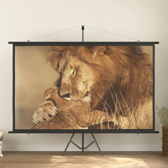 Projection Screen 108" 16:9