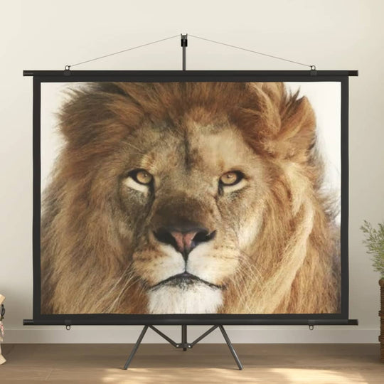 Close-up of a lion displayed on a projection screen with a tripod in a modern room setting.