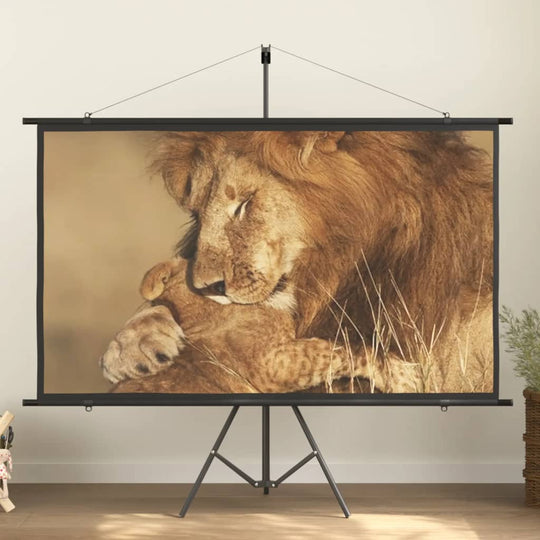 Projection screen displaying a lion cuddling its cub on a tripod in a cozy indoor setting.