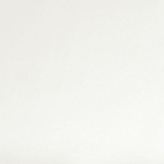 Swivel Dining Chairs 2 pcs  Faux Leather