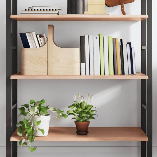 Wall shelf with books, a storage box, and indoor plants, showcasing a stylish rustic storage solution.