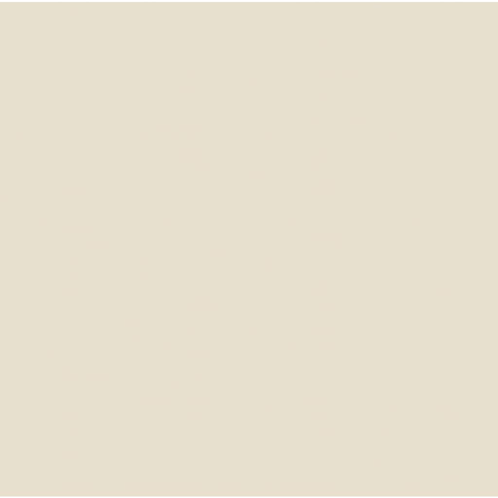 Neutral beige color swatch for paint or decor, showcasing versatility for various design styles.