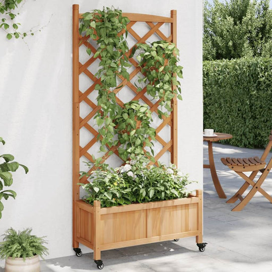 Wooden planter with trellis and wheels, perfect for climbing plants in outdoor spaces like gardens and patios.