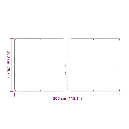 Clear Tarpaulin with Eyelets 2x3 m Polyethylene