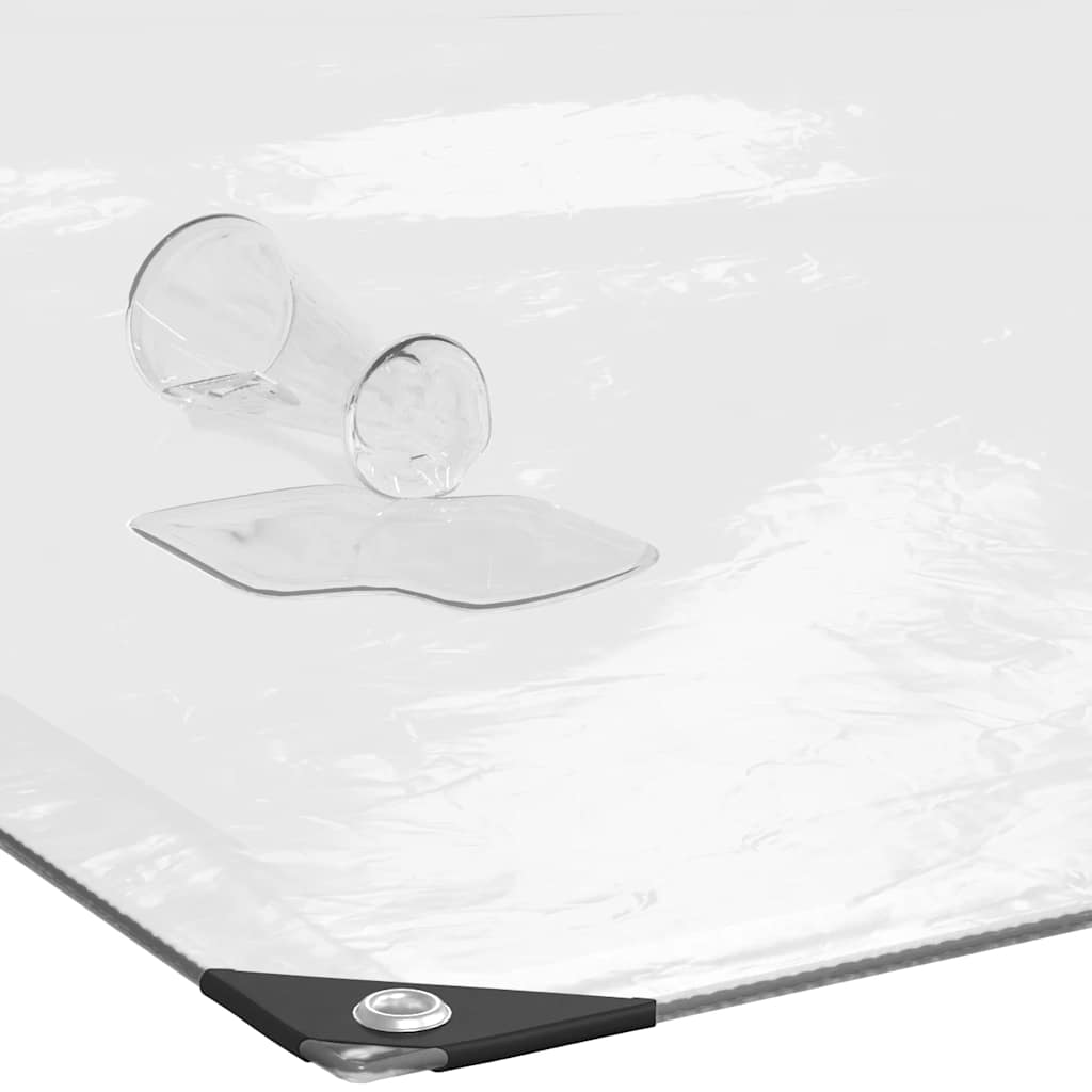 Clear Tarpaulin with Eyelets 2x5 m Polyethylene
