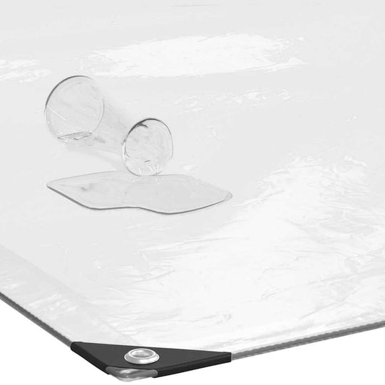 Clear Tarpaulin with Eyelets 3x8 m Polyethylene