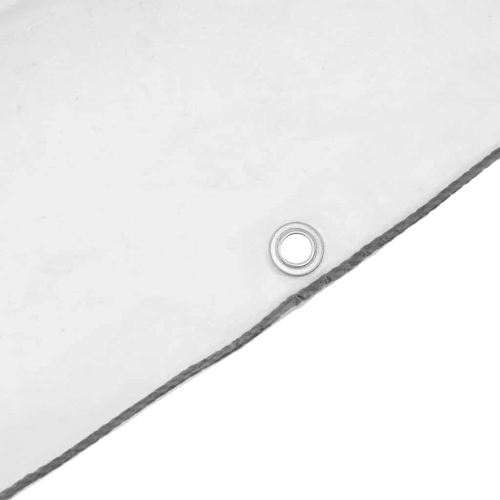 Clear Tarpaulin with Eyelets 3x8 m Polyethylene
