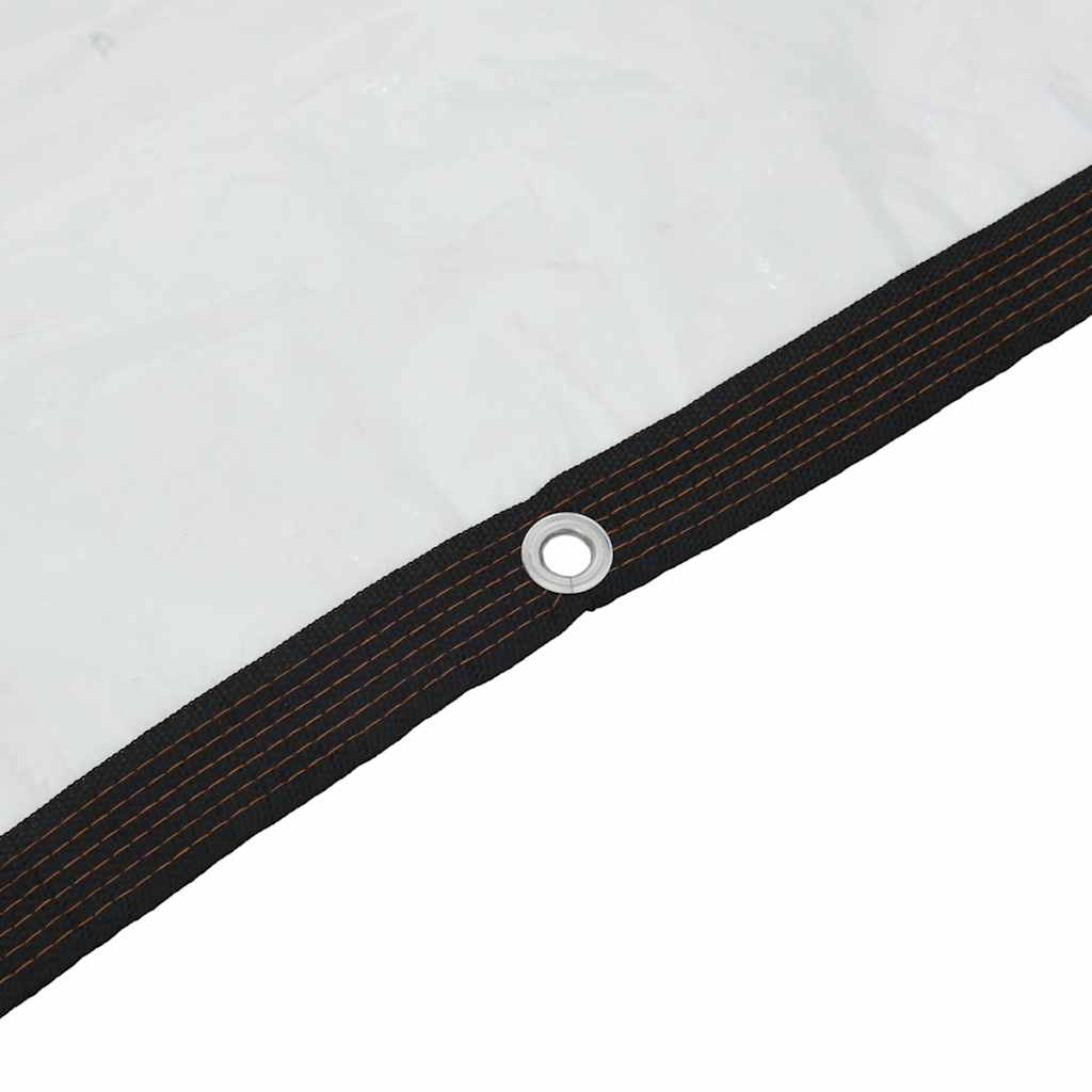 Clear Tarpaulin with Eyelets 2x3 m Polyethylene