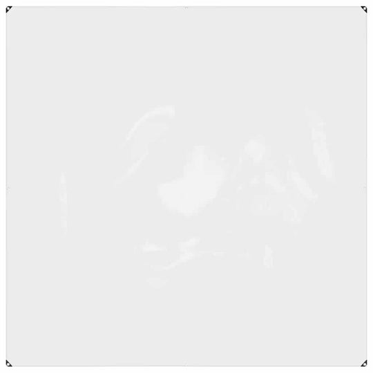 Clear Tarpaulin with Eyelets 2x2 m PVC