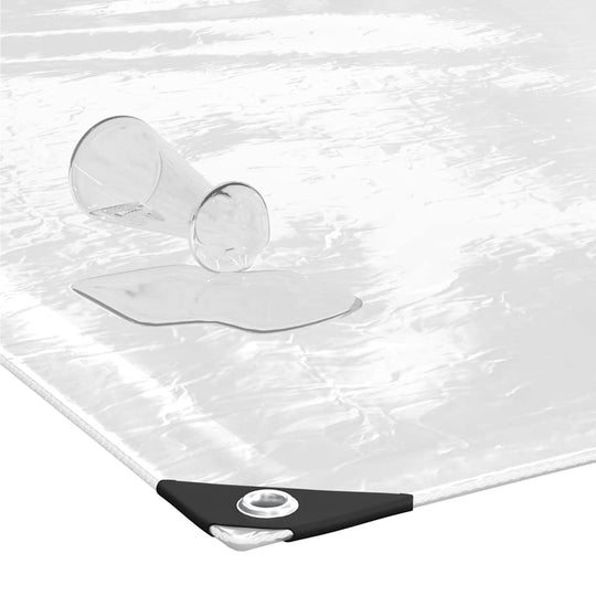 Clear Tarpaulin with Eyelets 2x4 m PVC