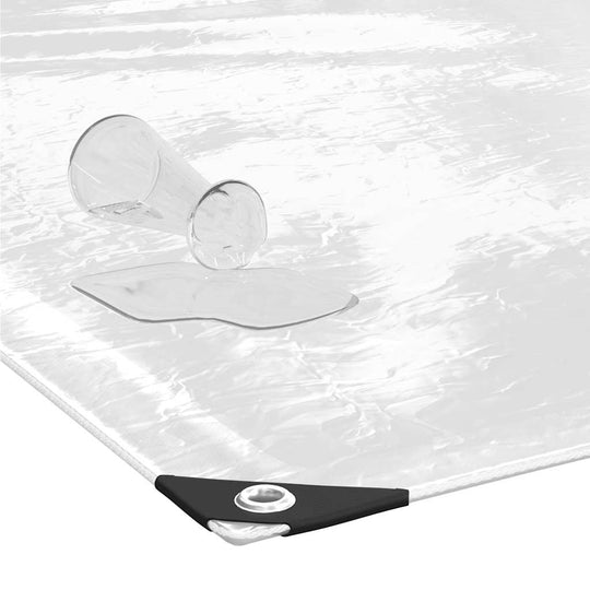 Clear Tarpaulin with Eyelets 3x6 m PVC