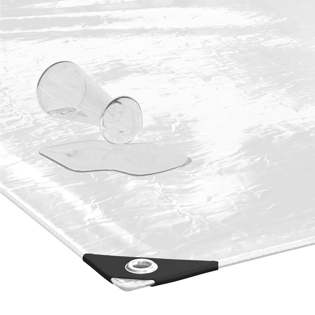 Clear Tarpaulin with Eyelets 3x8 m PVC