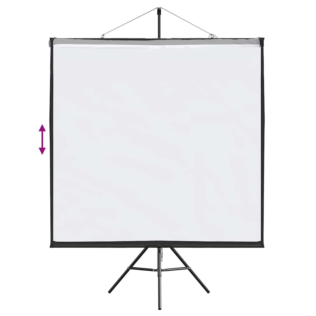 Projection Screen with Tripod 67 Inch :